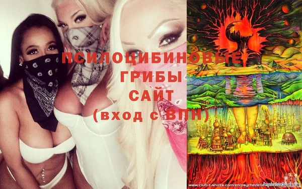 герыч Абинск