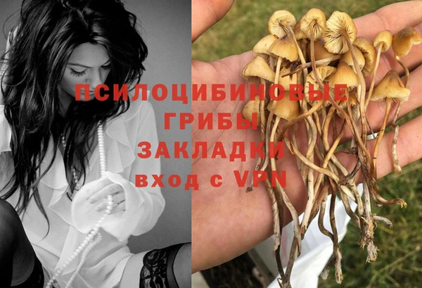 герыч Абинск